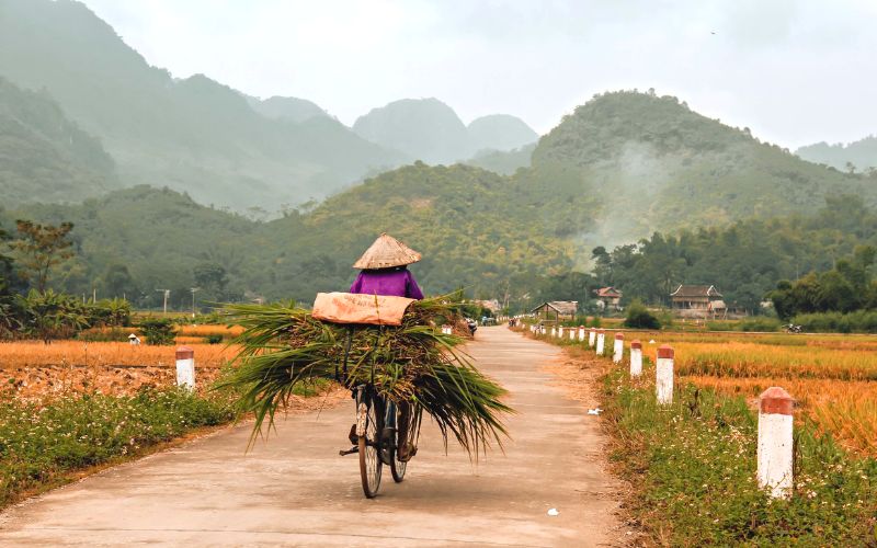 5 Days in Vietnam: Hanoi, Mai Chau, Halong
